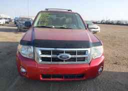 2008 FORD ESCAPE XLT