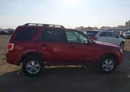 2008 FORD ESCAPE XLT