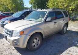2012 FORD ESCAPE XLT