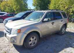 2012 FORD ESCAPE XLT