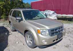 2012 FORD ESCAPE XLT