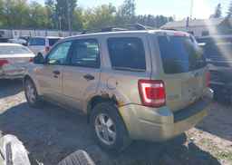 2012 FORD ESCAPE XLT