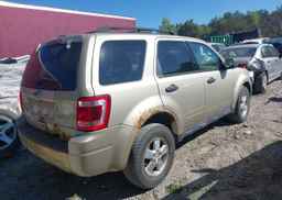 2012 FORD ESCAPE XLT