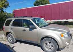 2012 FORD ESCAPE XLT