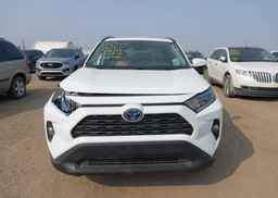 2021 TOYOTA RAV4 HYBRID XLE