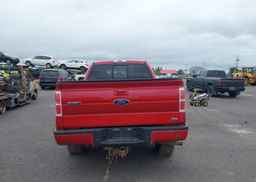 2010 FORD F-150 FX4