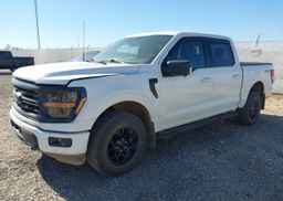 2024 FORD F150 XLT