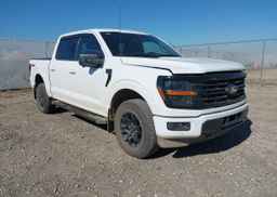 2024 FORD F150 XLT
