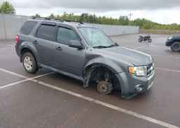 2009 FORD ESCAPE XLT