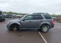 2009 FORD ESCAPE XLT