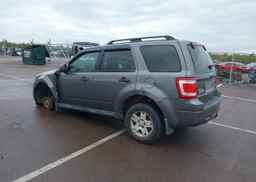 2009 FORD ESCAPE XLT