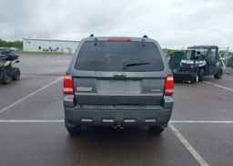 2009 FORD ESCAPE XLT