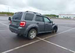 2009 FORD ESCAPE XLT