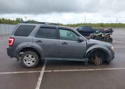 2009 FORD ESCAPE XLT
