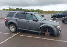 2009 FORD ESCAPE XLT