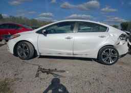 2014 KIA FORTE 2.0L EX
