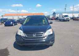 2010 HONDA CR-V EX-L