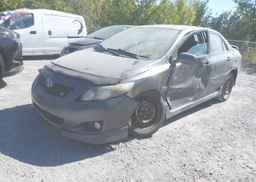 2010 TOYOTA COROLLA
