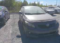 2010 TOYOTA COROLLA