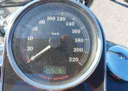 2009 HARLEY-DAVIDSON FLSTN