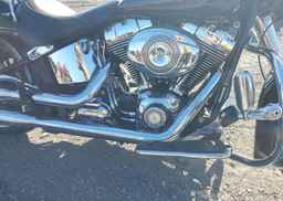 2009 HARLEY-DAVIDSON FLSTN