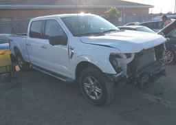 2024 FORD F150 XLT