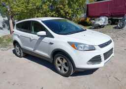 2013 FORD ESCAPE SE