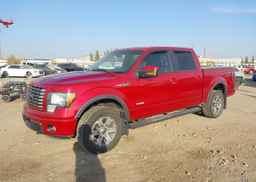 2011 FORD F150 SUPERCREW