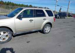 2010 FORD ESCAPE XLT