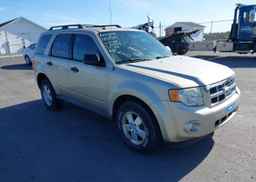 2010 FORD ESCAPE XLT