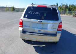 2010 FORD ESCAPE XLT