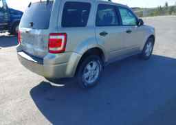 2010 FORD ESCAPE XLT