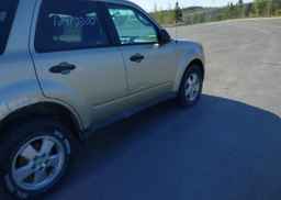 2010 FORD ESCAPE XLT