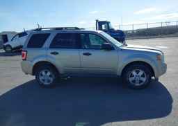 2010 FORD ESCAPE XLT