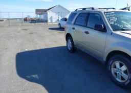 2010 FORD ESCAPE XLT