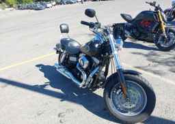 2009 HARLEY-DAVIDSON FXDF