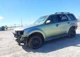 2008 FORD ESCAPE XLT