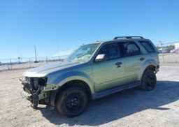 2008 FORD ESCAPE XLT