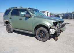 2008 FORD ESCAPE XLT