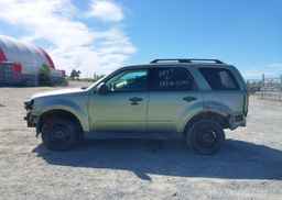 2008 FORD ESCAPE XLT