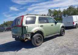 2008 FORD ESCAPE XLT