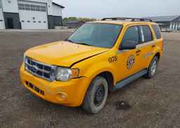 2012 FORD ESCAPE XLT