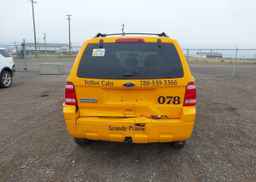 2012 FORD ESCAPE XLT