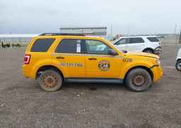 2012 FORD ESCAPE XLT