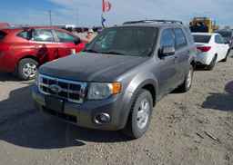 2012 FORD ESCAPE XLT