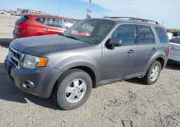 2012 FORD ESCAPE XLT