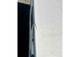 1999 WESTERN RV Alpenlite Riviera