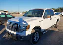 2010 FORD F-150 FX4