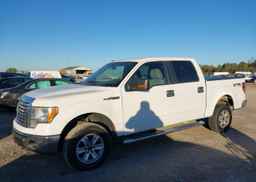 2010 FORD F-150 FX4