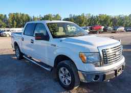 2010 FORD F-150 FX4